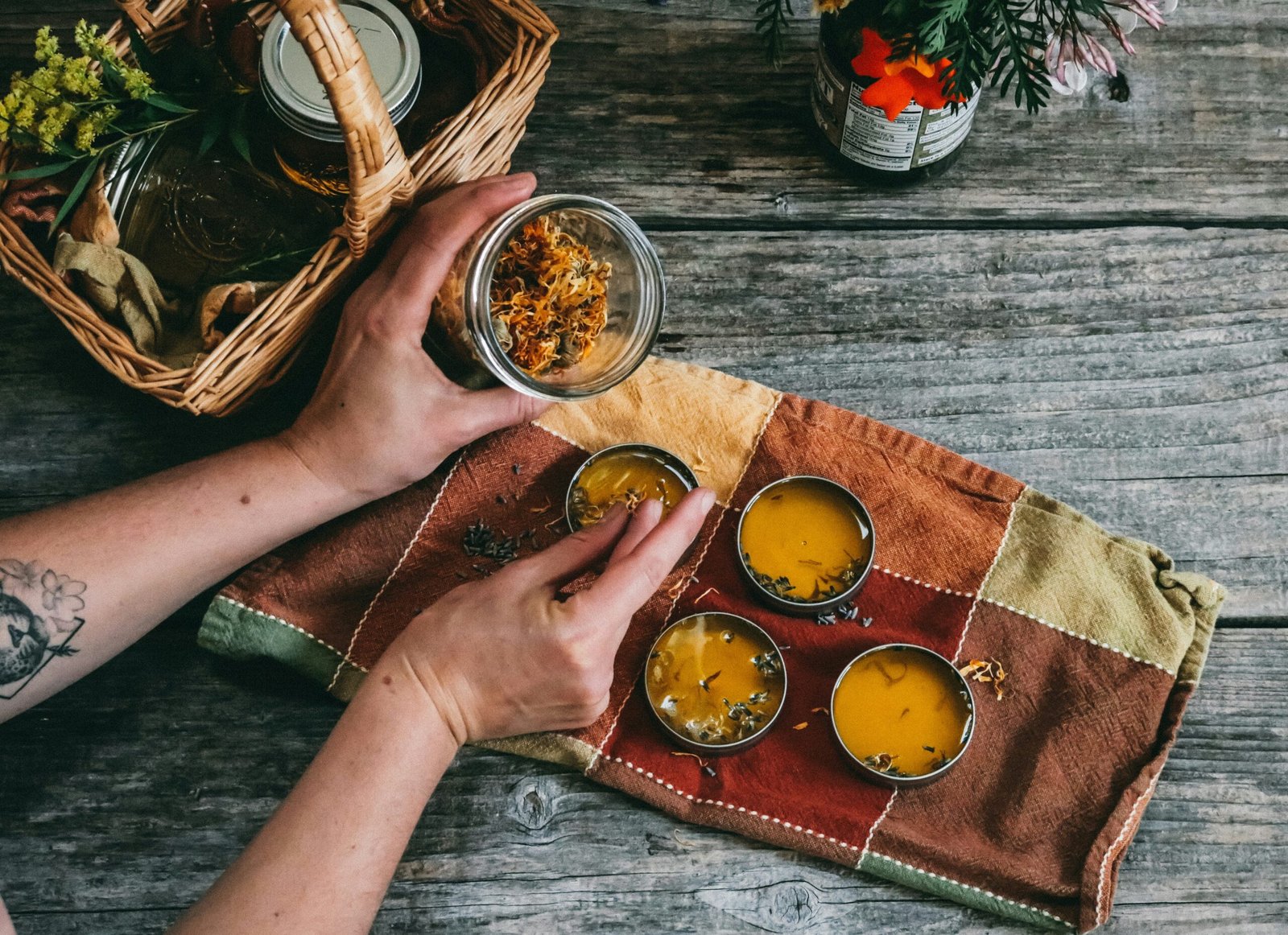 The Divine Gift of Earth: Exploring the Wonders of Nature’s Healing Herbs for Humanity and Wildlife